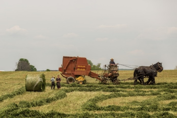 Landschap